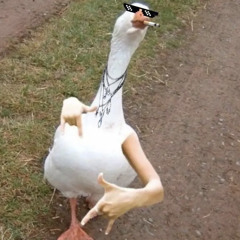 하연