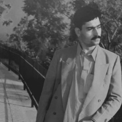 syed ali muhammad shah
