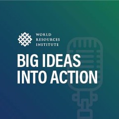 Big Ideas Into Action #59: 40 years of climate action at WRI