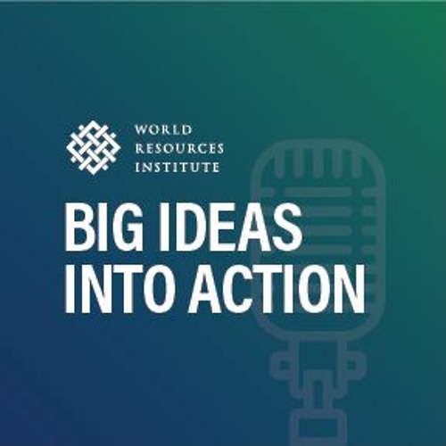 WRI's Big Ideas Into Action podcast’s avatar