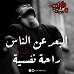 عمرو محمود محمود