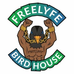 FreeLyfe BirdHouse Entertainment