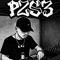 P2S3
