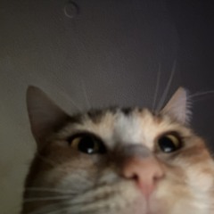 MC Cant Find da Tempo