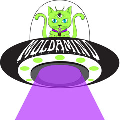 Moldamind