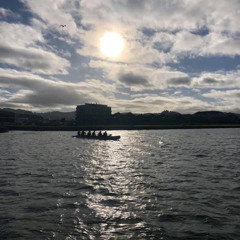 NZ