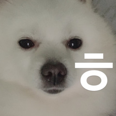 ㅁㄴㅊ