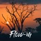 flow-M