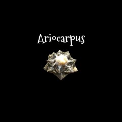 Ariocarpus