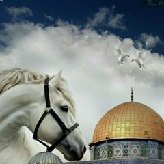 وفاء عادل (الكبيسي)