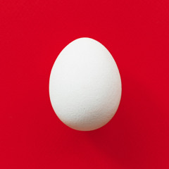 eggboy