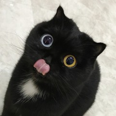 m0ar