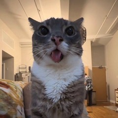 Тайный_4атер