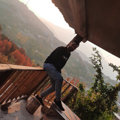 Amir.kiaei