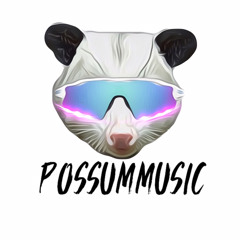 PossumMusic