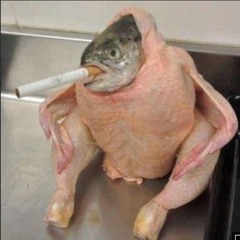 Spzxy, the Q| i!i |s p a z e G r i n d s