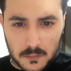 Mohamadreza Malekzade