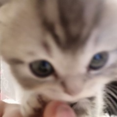 やま