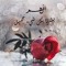 Ahmed Tarek