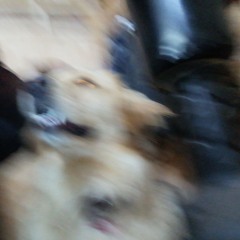 Ignacio Cárcamo Nenén