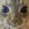 terow