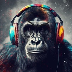 DJ Macaque NRV