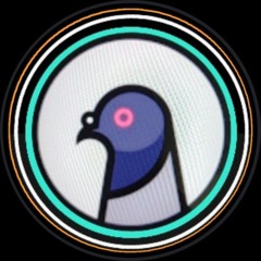 encrypted pigeon