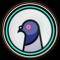encrypted pigeon