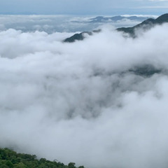 Tuấn Dũng