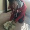 AMG_Benzo