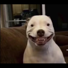 Michellestfuforgotmyfuckingpasswordagain