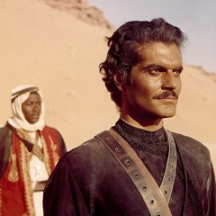 Badr Aly