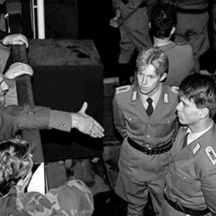 Білі Ромашки