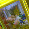 Domz wrld