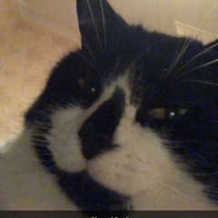 𝐭𝐚𝐧𝐧𝐚𝐡