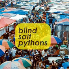 Blind Salt Pythons
