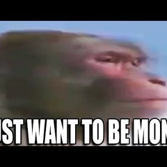 TheEpicMonke