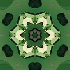 Augusta | Alcove ♉️4°