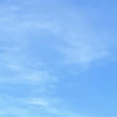 WINDOWS Vista®