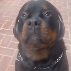 stifl3rsmom
