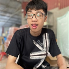 Nguyenhoang1292007