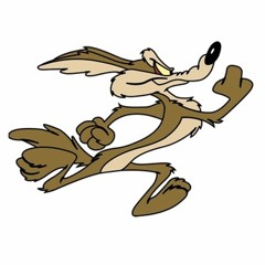wiley.COYOTE
