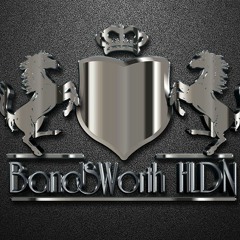 BandsWorth HLDN HNWI