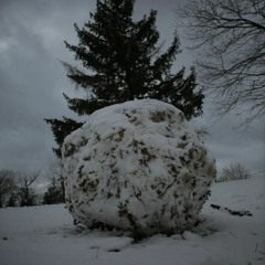 Francesco B. McDonald