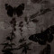 ꒰ঌ✦໒꒱ Mu ꒰ঌ✦໒꒱
