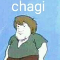 chagi