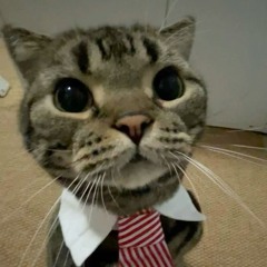 𝔊𝔞𝔫𝔡𝔞𝔯𝔬☦️