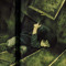 yukidead