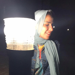 zeinabmegawer