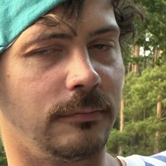 Finn Lü